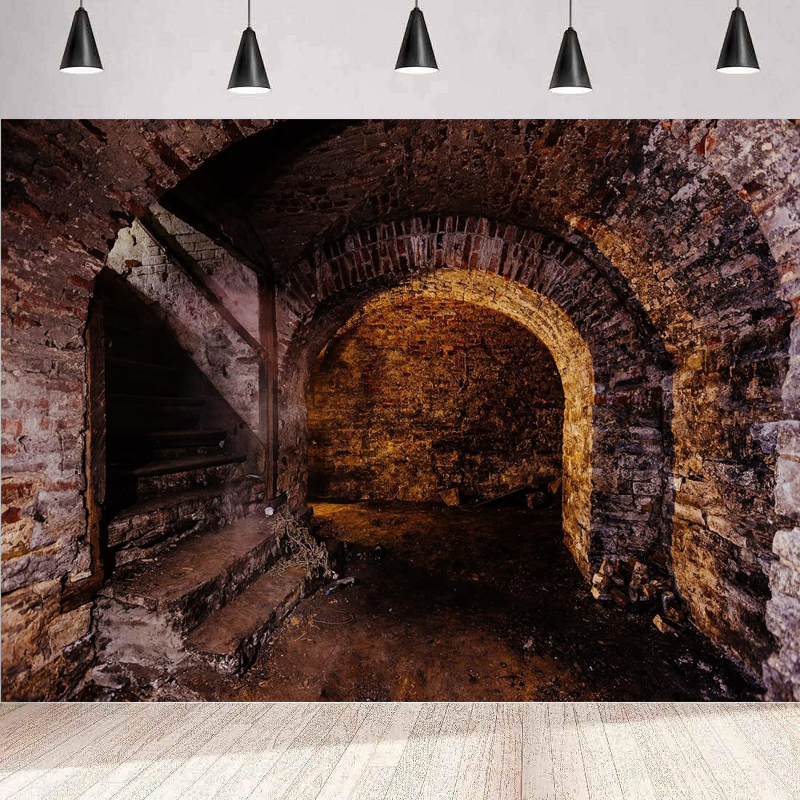 Photography Dark Cloth - Dark Underground Cellar Photography Backdrop Creepy