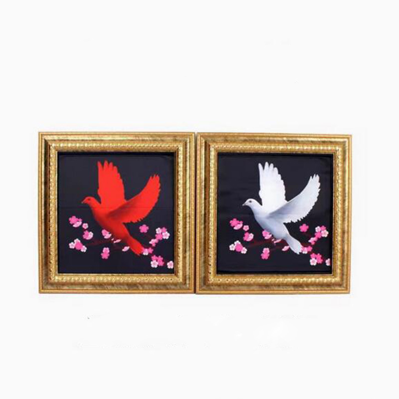 Deluxe Dove Frame Magic Tricks - Photography Trick reseña y precio