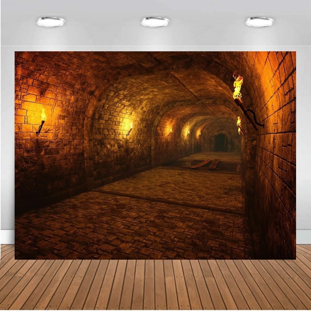 Dark Medieval Castle Dungeon T - Photography Dark Cloth reseña y precio