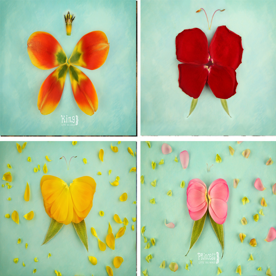 Photography Backdrop Glow In D - Photography Dark Cloth reseña y precio
