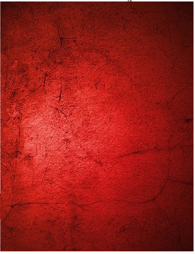 Johnson Scarlet Dark red backd - Photography Dark Cloth reseña y precio