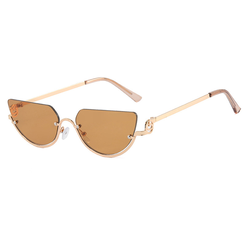 1Pc Y2K Retro Cat-Eye Sunglass - Photography Trick reseña y precio