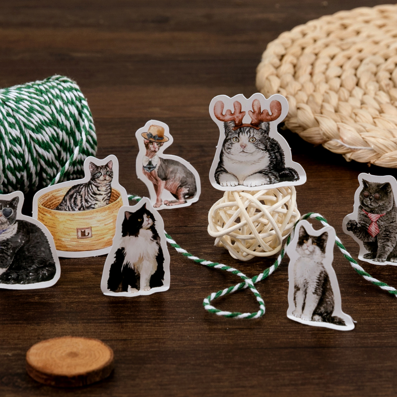 46 Sheets Cat Series Stickers  - Photography Magazine reseña y precio