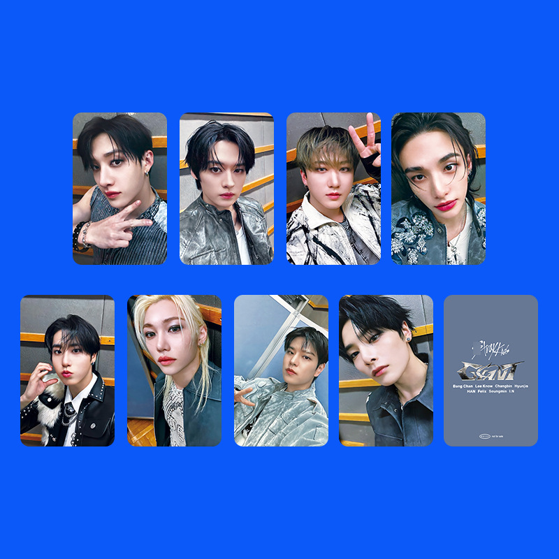 8 PCS K-pop Straykids' profile - Photography Ideas reseña y precio
