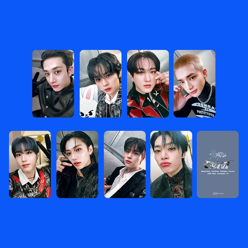 8 PCS K-pop Straykids' profile - Photography Ideas reseña y precio