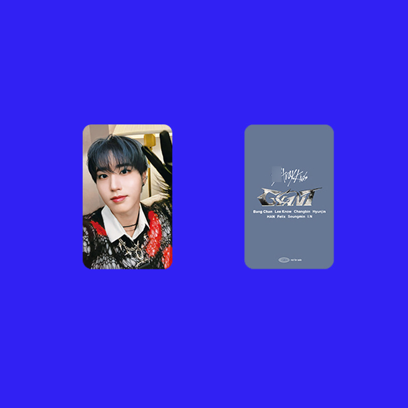 8 PCS K-pop Straykids' profile - Photography Ideas reseña y precio